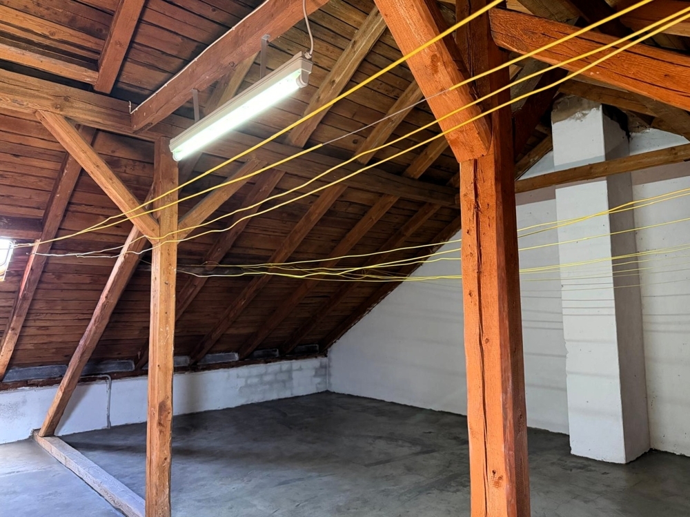 Eigennutzung oder Kapitalanlage: Freie 3-Zimmer-Wohnung in Hof mit Balkon, Garage und Grünblick &ndash; Foto 13